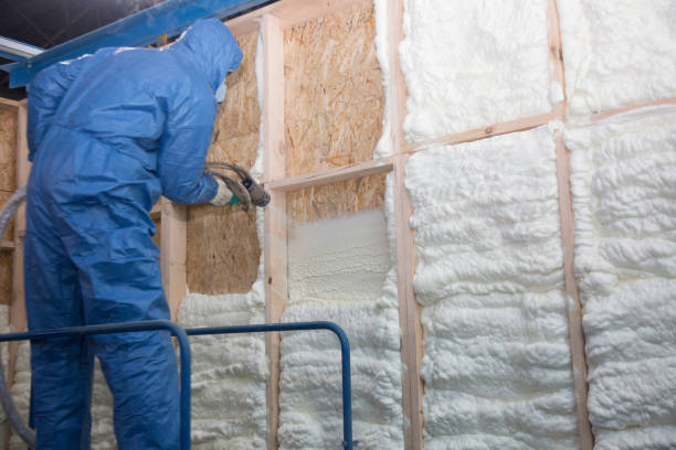 Best Insulation Removal  in Essexville, MI